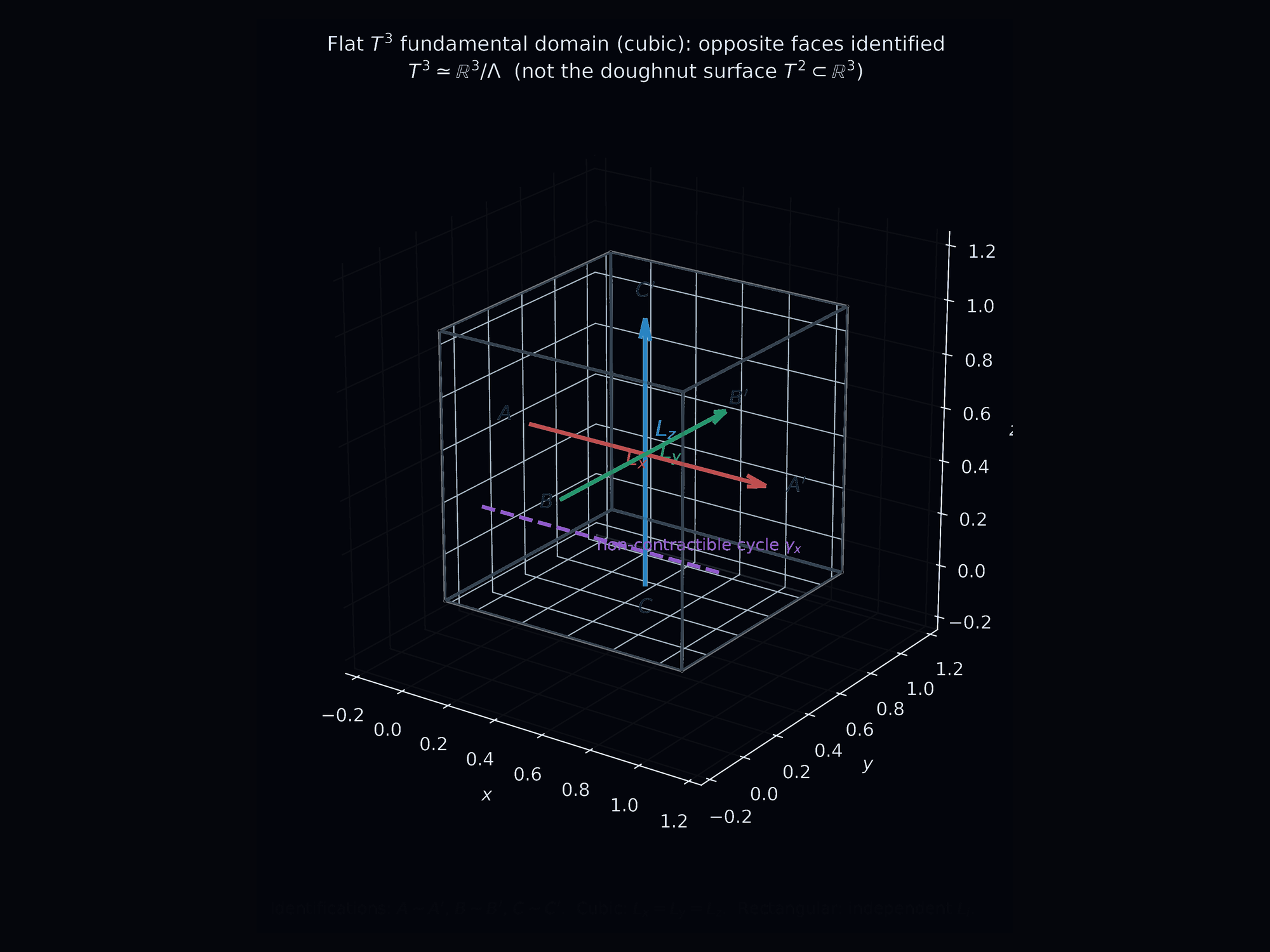 Flat T3 rectangular fundamental domain with face identifications